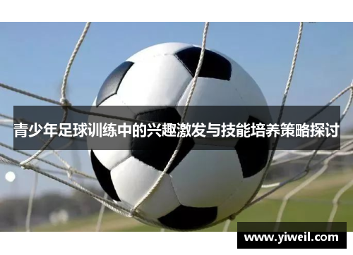青少年足球训练中的兴趣激发与技能培养策略探讨