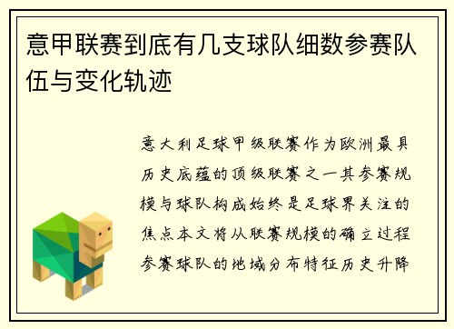 意甲联赛到底有几支球队细数参赛队伍与变化轨迹