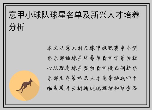 意甲小球队球星名单及新兴人才培养分析